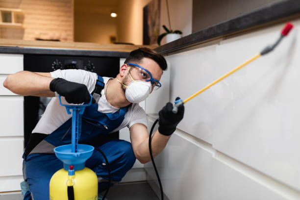 Best Best Pest Control Companies  in Tea, SD