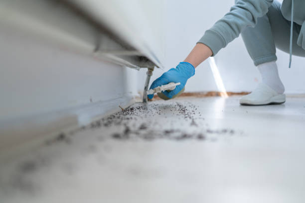 Best Pest Prevention Services  in Tea, SD